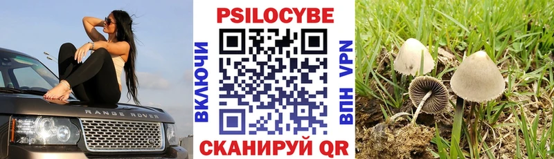 KRAKEN tor  мориарти официальный сайт  Псилоцибиновые грибы Psilocybe  Юрьев-Польский 